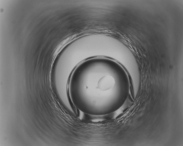 X0000087680340200705181735