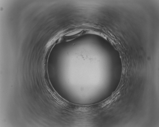 X0000087680341200705181735