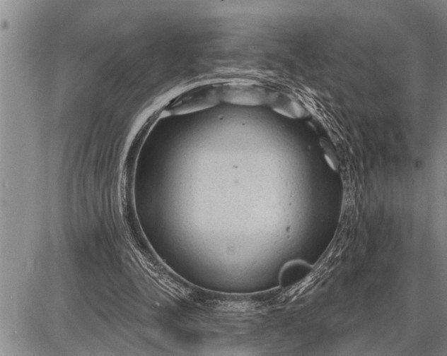 X0000087680342200705181735