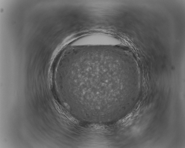 X0000087680343200705181735