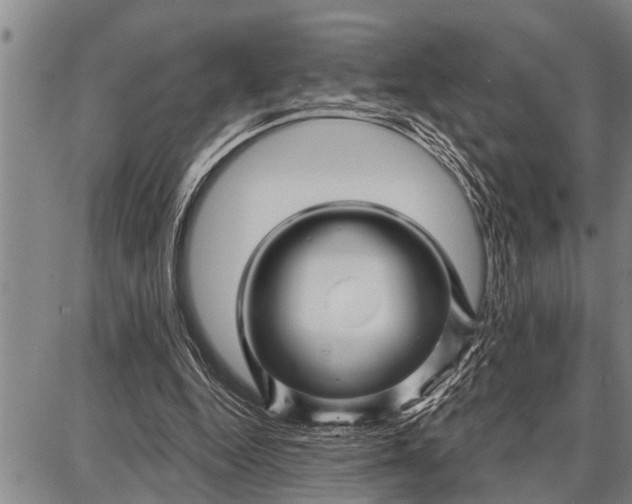 X0000087680344200705181735