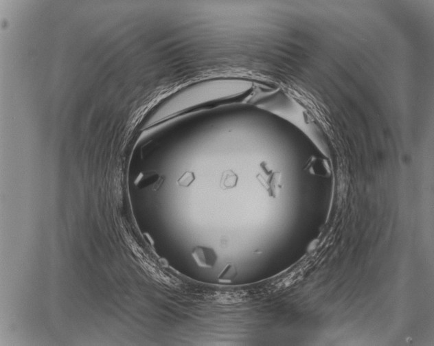 X0000087680345200705181735