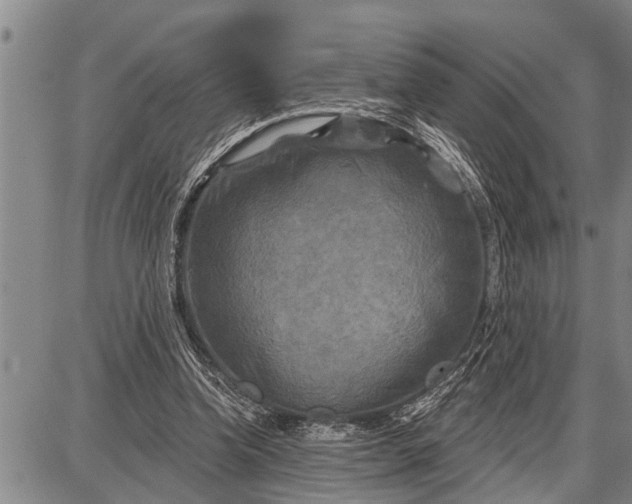 X0000087680346200705181735