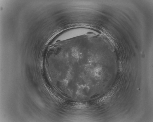 X0000087680347200705181735