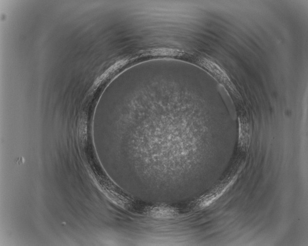 X0000087680348200705181735