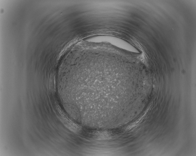 X0000087680349200705181735