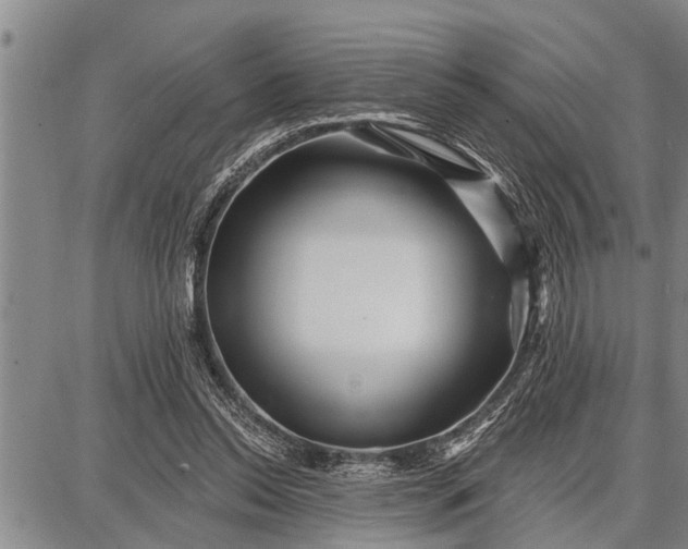 X0000087680350200705181735