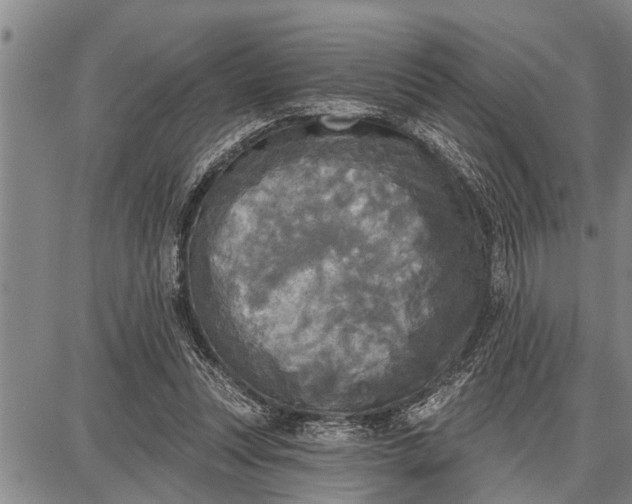 X0000087680351200705181735