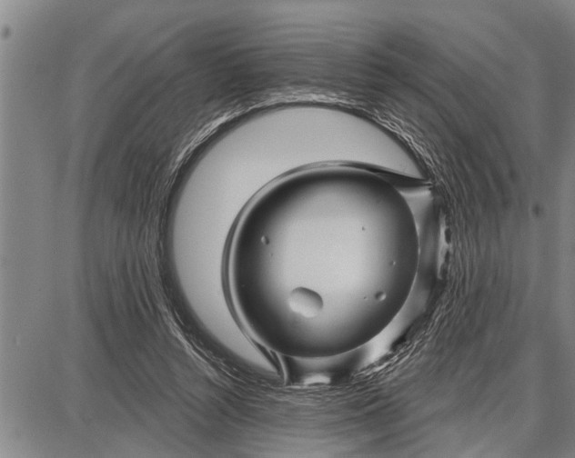 X0000087680352200705181735