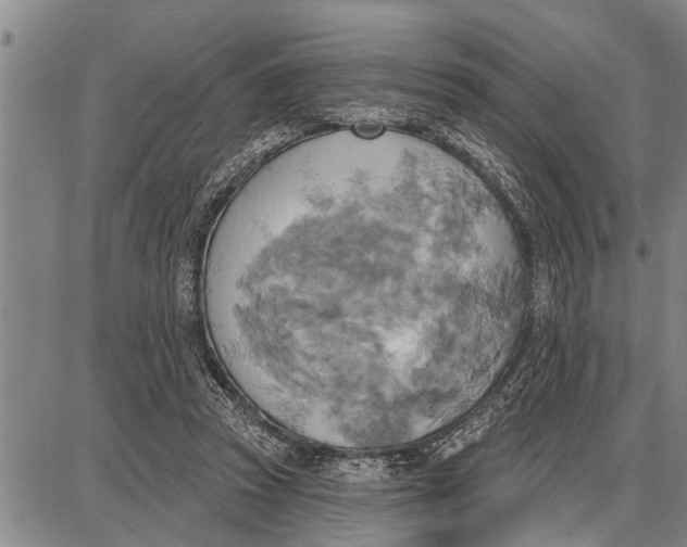 X0000087680353200705181735