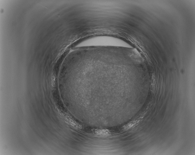 X0000087680355200705181735