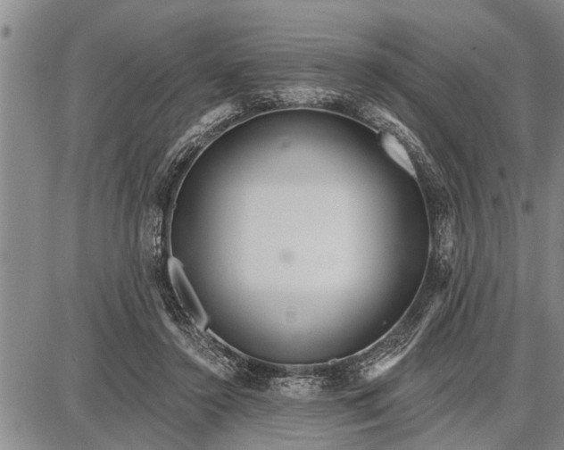 X0000087680356200705181735