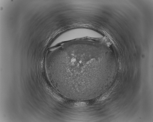 X0000087680357200705181735