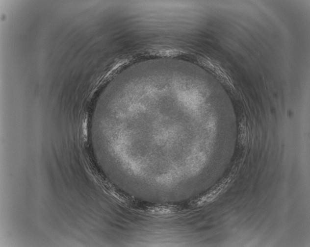 X0000087680358200705181735