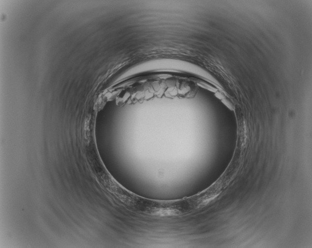 X0000087680360200705181735