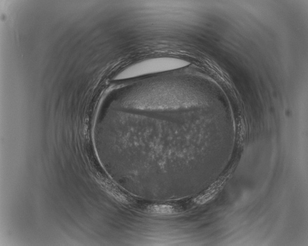 X0000087680361200705181735