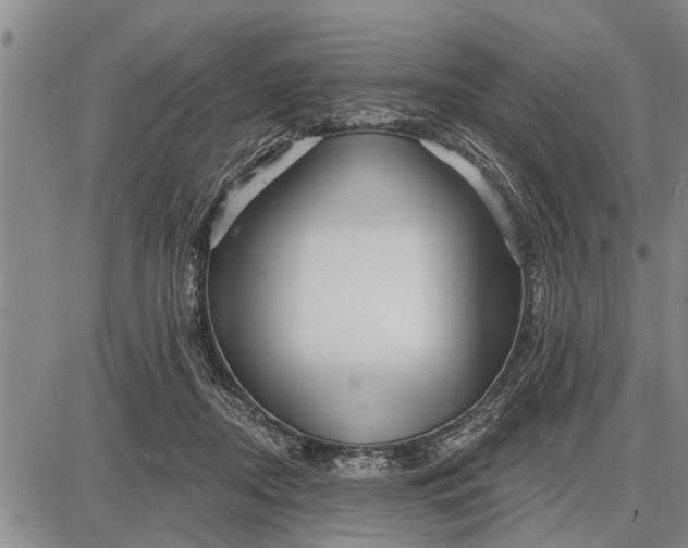 X0000087680362200705181735