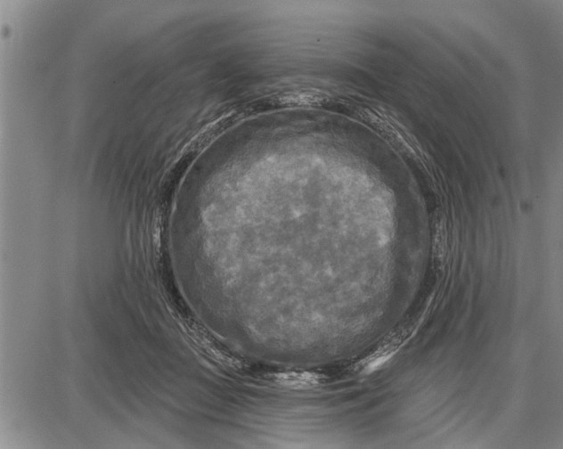 X0000087680363200705181735