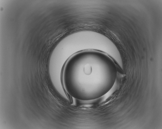 X0000087680364200705181735