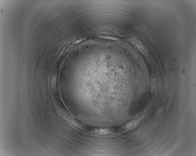 X0000087680365200705181735