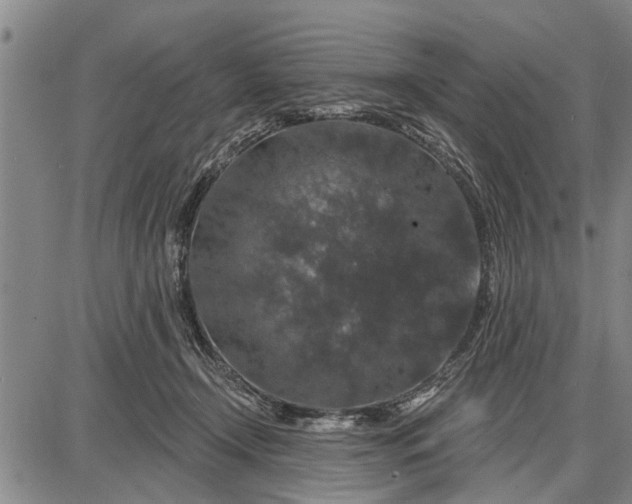 X0000087680366200705181735