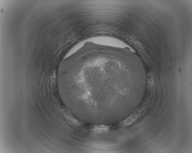 X0000087680369200705181735