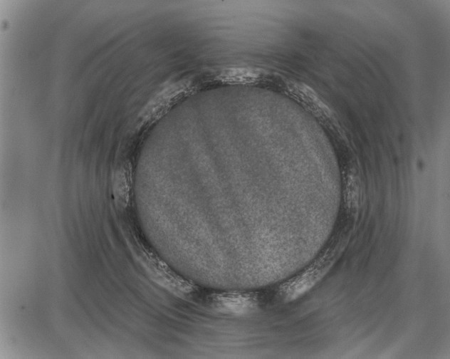 X0000087680370200705181735