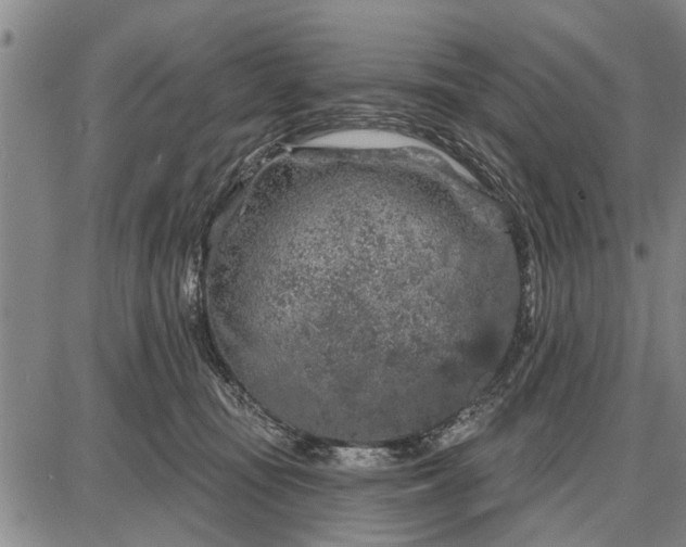 X0000087680371200705181735