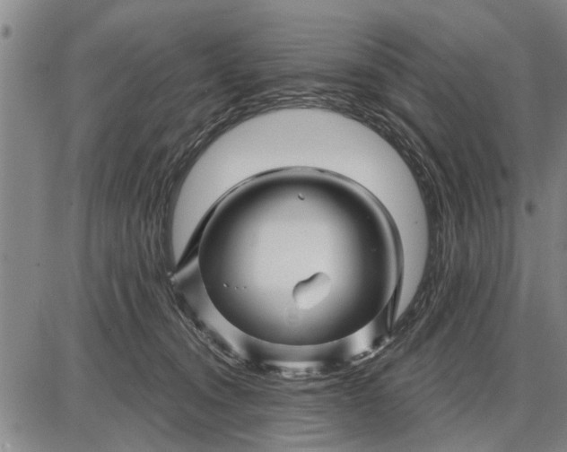 X0000087680372200705181735