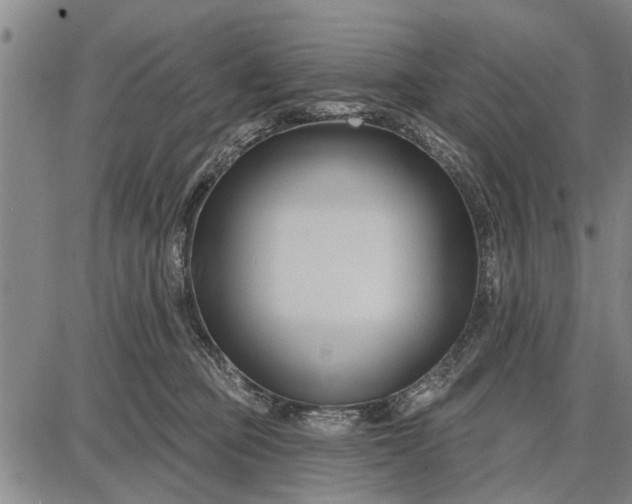 X0000087680373200705181735