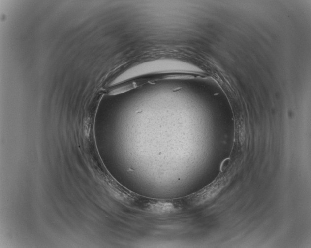 X0000087680374200705181736