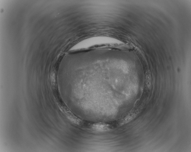 X0000087680375200705181736