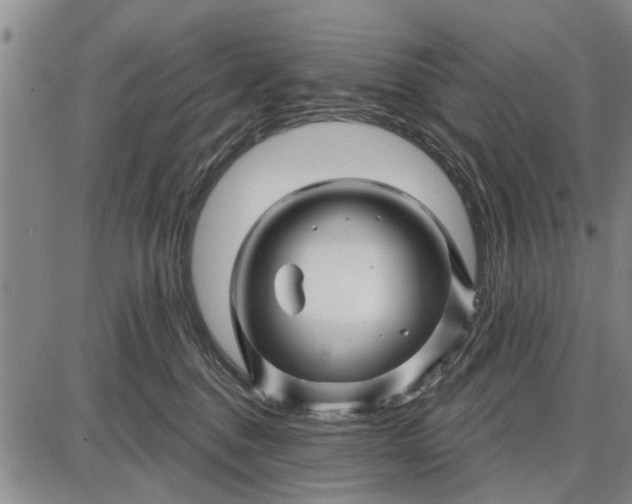 X0000087680376200705181736