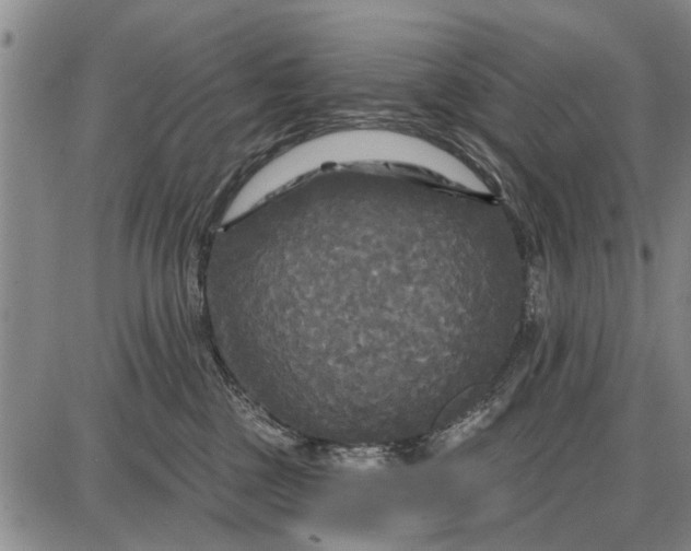 X0000087680377200705181736