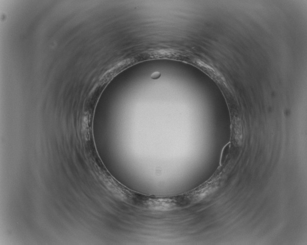 X0000087680378200705181736