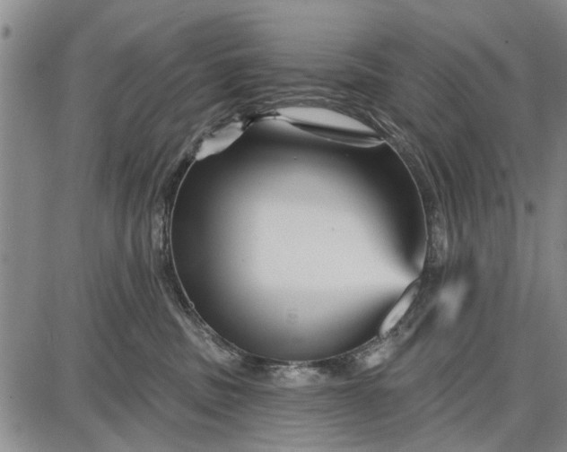 X0000087680379200705181736