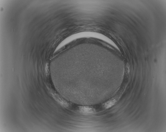 X0000087680380200705181736