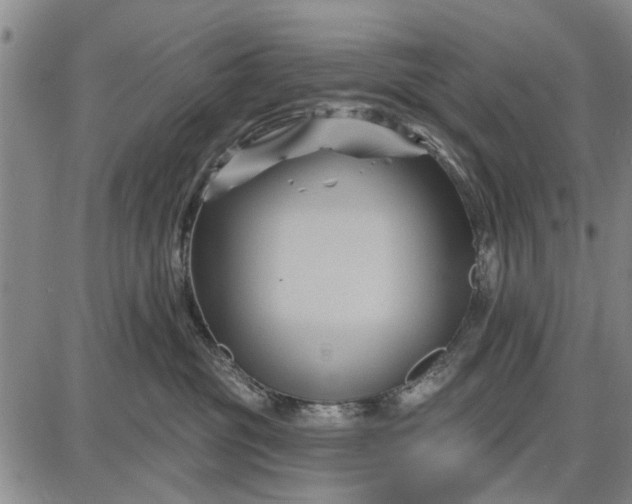 X0000087680381200705181736