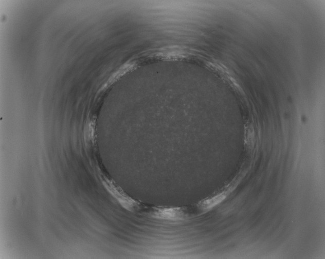 X0000087680382200705181736