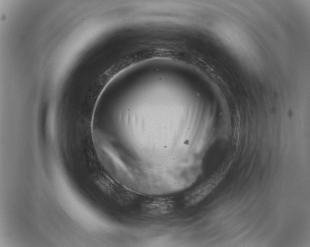 X0000087680383200705181736