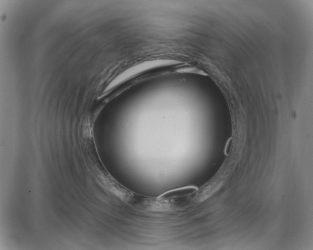 X0000087680384200705181736