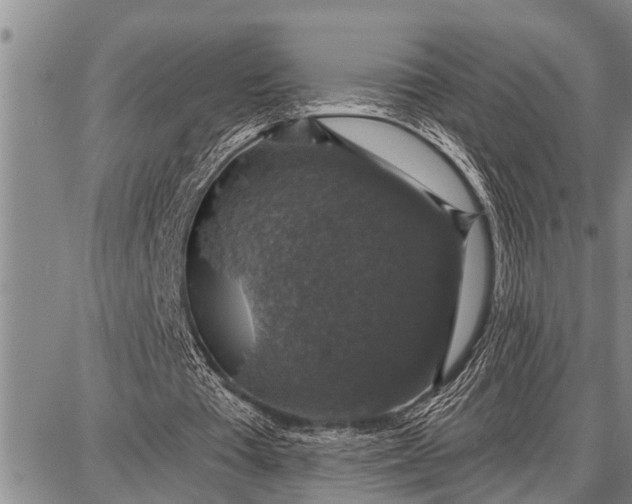 X0000087680385200705181735