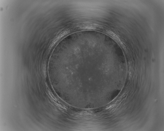 X0000087680386200705181735