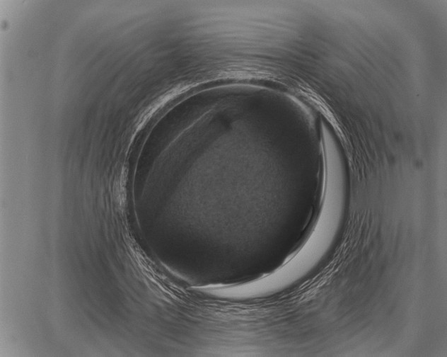 X0000087680387200705181735