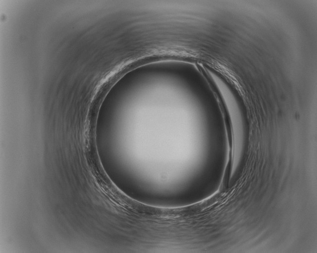 X0000087680388200705181735