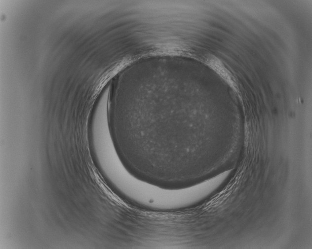 X0000087680389200705181735