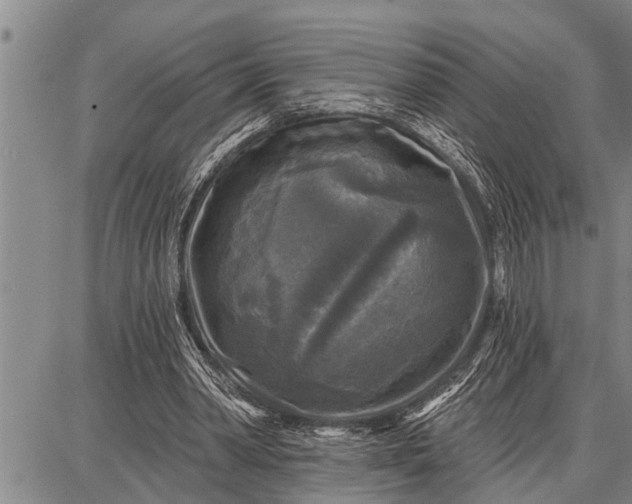 X0000087680390200705181735