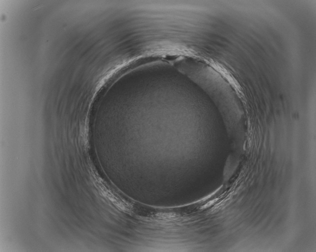 X0000087680391200705181735