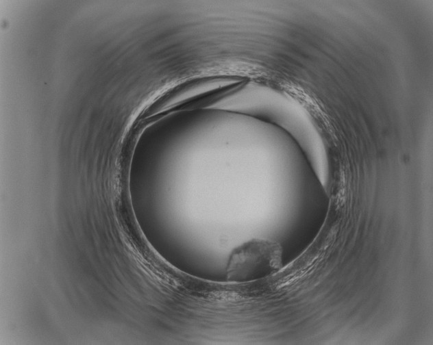 X0000087680392200705181735