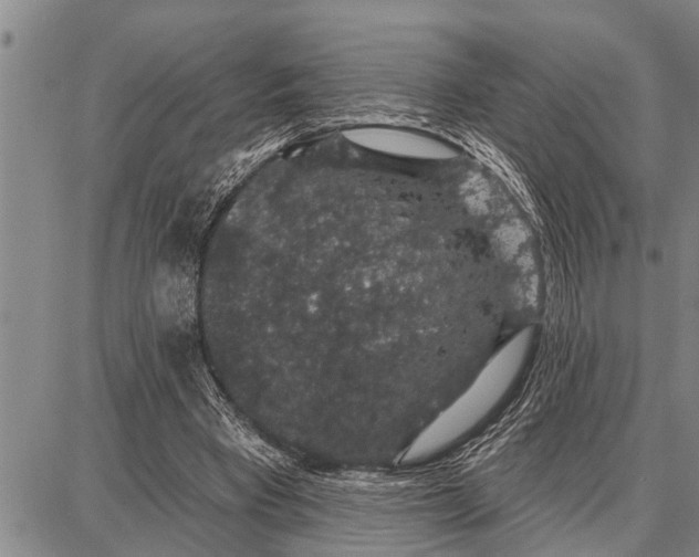 X0000087680393200705181735